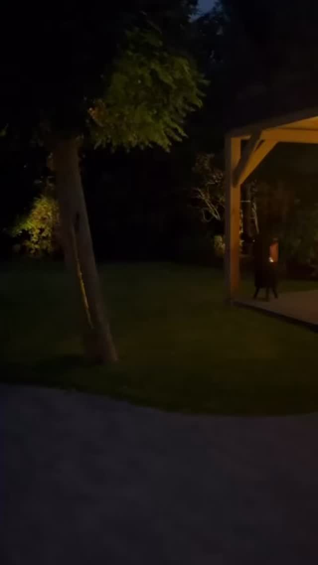 Instagram post from burghwoods. This post is in position 10.
